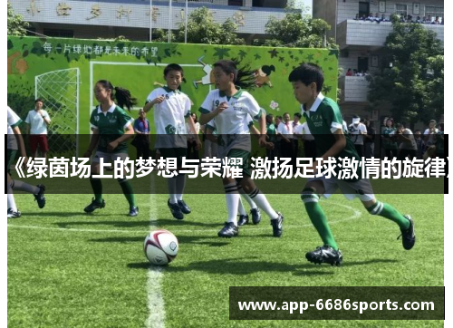《绿茵场上的梦想与荣耀 激扬足球激情的旋律》